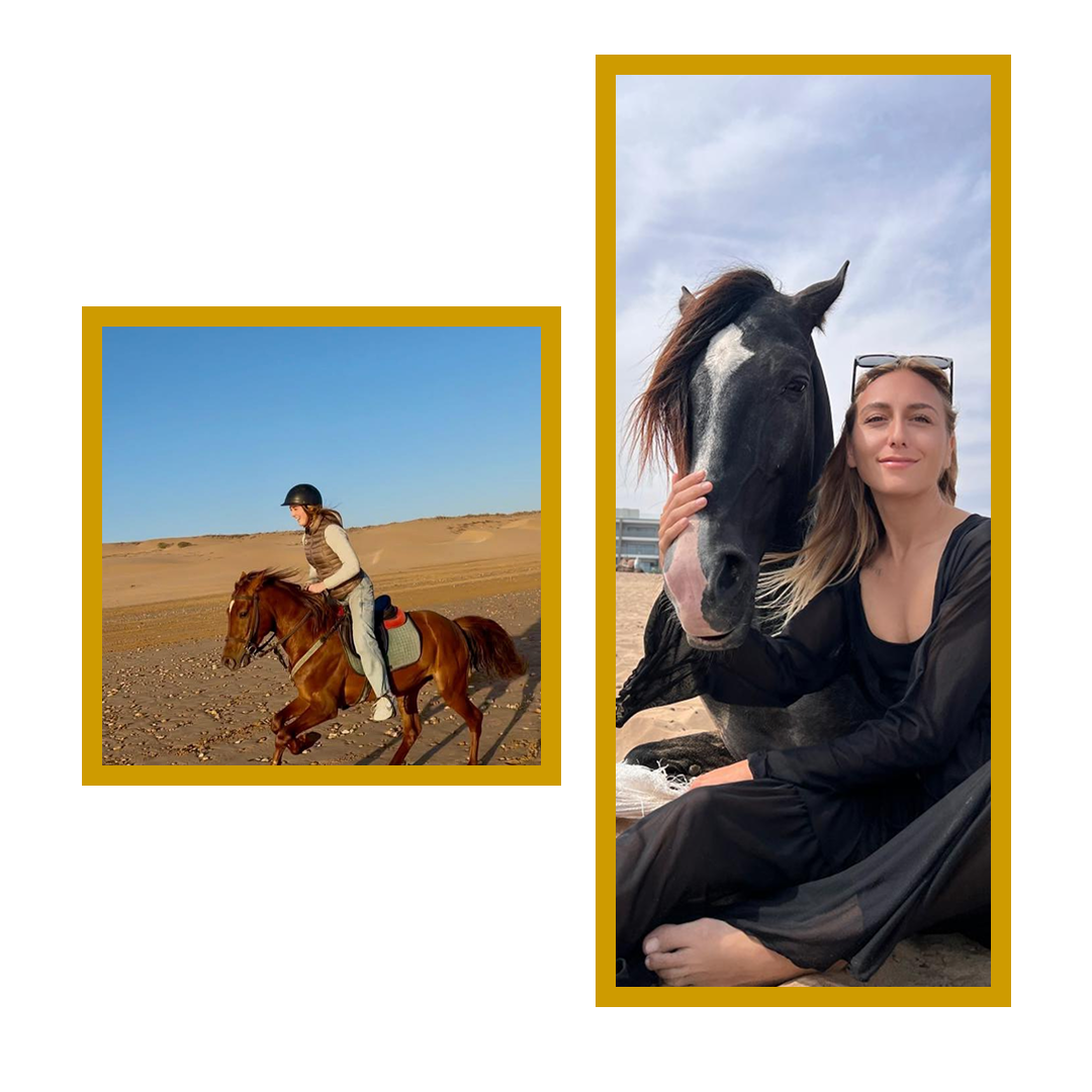 Cheval Essaouira