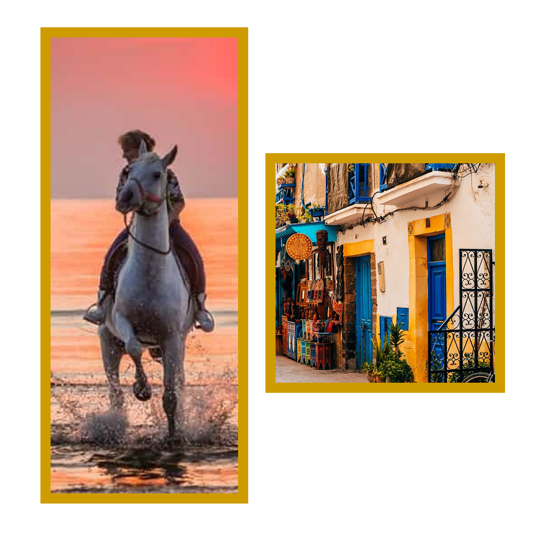 Balade à cheval plage Essaouira