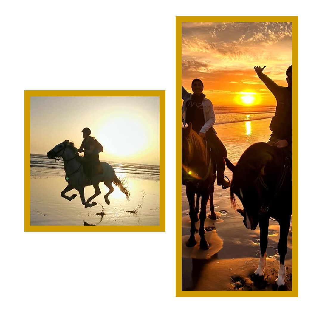 Randonnée cheval forêt Essaouira
