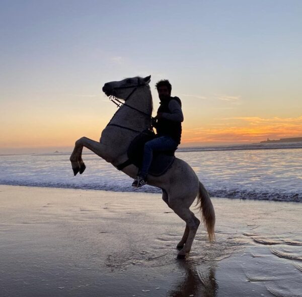 Camel and Horse Rides Essaouira