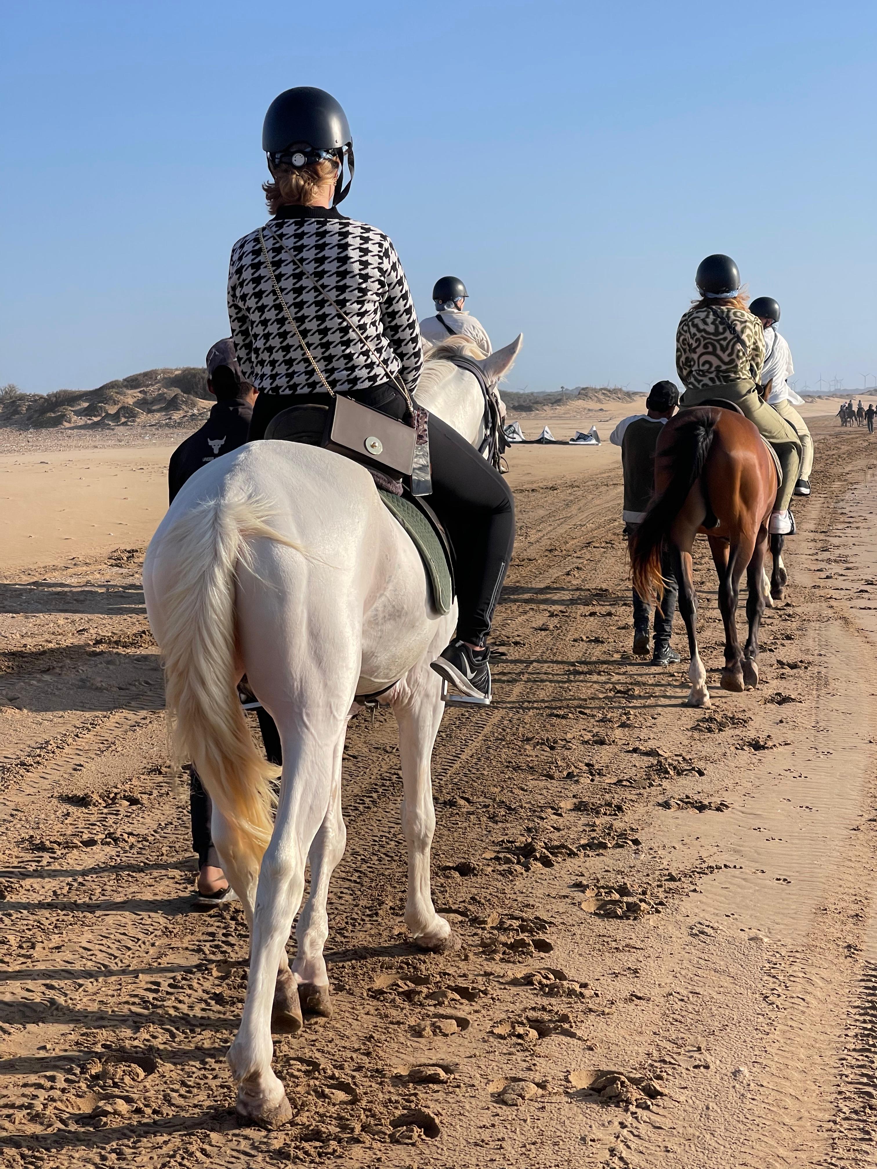 Top 5 Reasons to Try Horse Trekking in Essaouira