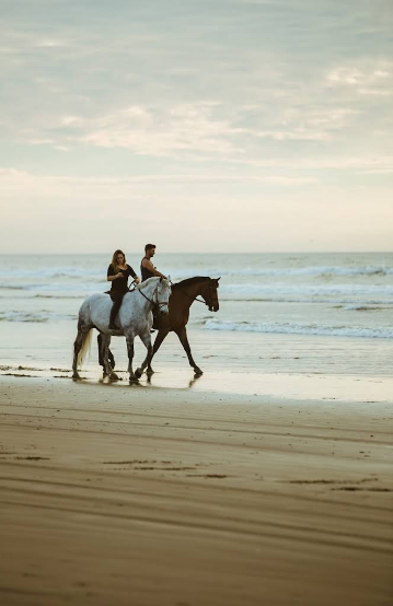 Beach, Dunes, and Forest: Exploring Essaouira’s Nature on Horse
