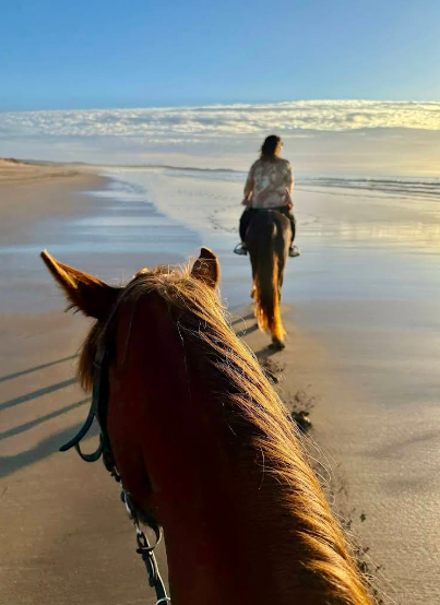 Horseback for Beginners: Why Essaouira is the Perfect to Start ?